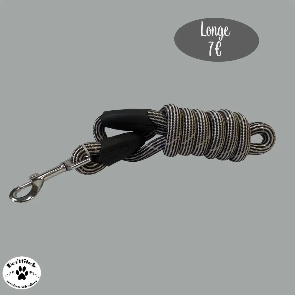 Vente d'accessoires pour chien à Hanvec